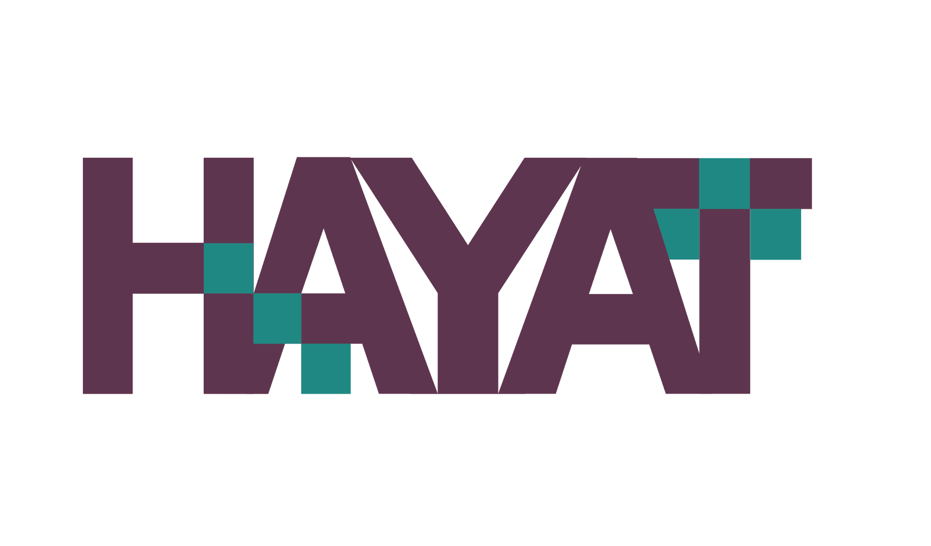 Hayat Information Technology